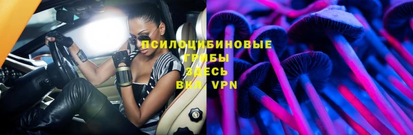 шишки Нефтекумск