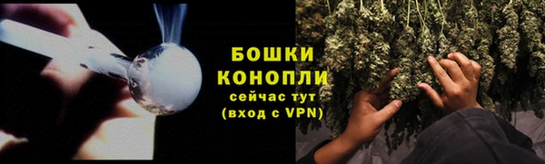 шишки Нефтекумск