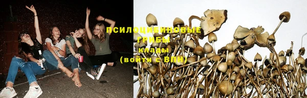 шишки Нефтекумск